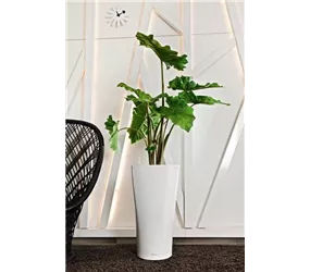 Lechuza Blumentopf - Delta Premium 30 Komplettset - Weiß Lechuza Blumentopf - Delta Premium 30 Komplettset - Weiß