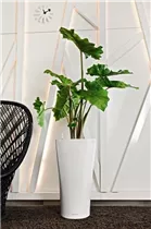 Lechuza Blumentopf - Delta Premium 30 Komplettset - Weiß Lechuza Blumentopf - Delta Premium 30 Komplettset - Weiß