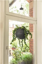 Lechuza - BOLA Color 32 schiefergrau Lechuza - BOLA Color 32 schiefergrau