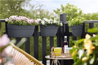 elho medium anthrazit - vibia campana easy hanger