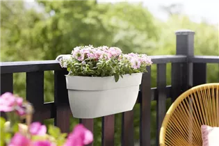 elho large seidenweiß - vibia campana easy hanger