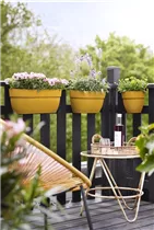 elho large honig gelb - vibia campana easy hanger