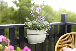 elho medium seidenweiß - vibia campana easy hanger