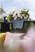 elho 40cm honig gelb - vibia campana flower bridge