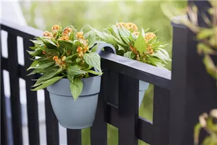 elho 21cm vint blau - vibia campana flower twin