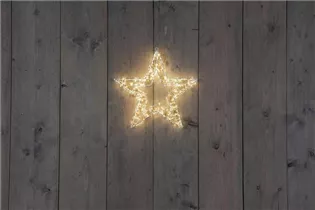 WARM WEIß-5M ZULEITUNG-AN/DIMMER-8/16S-TIMER/AU - STERN 3D WEIß 36X3CM/800LED