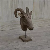 22x34x47 cm - Statur "Steinbockkopf"