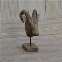 14x20x32 cm - Statur "Steinbockkopf" 14x20x32 cm - Statur "Steinbockkopf"