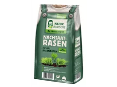Naturbursche - Nachsaatrasen 500 g  Naturbursche - Nachsaatrasen 500 g