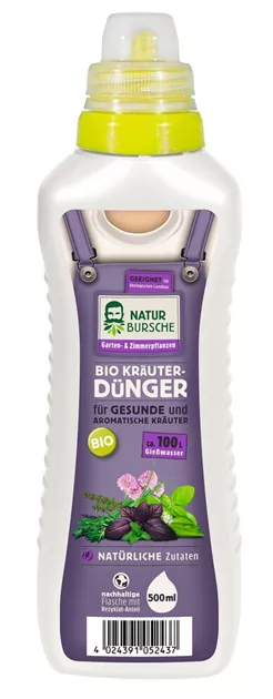 dungs druckregler Dungs FRS-520 Gasregler (058628) – Comtherm Ltd main image 1