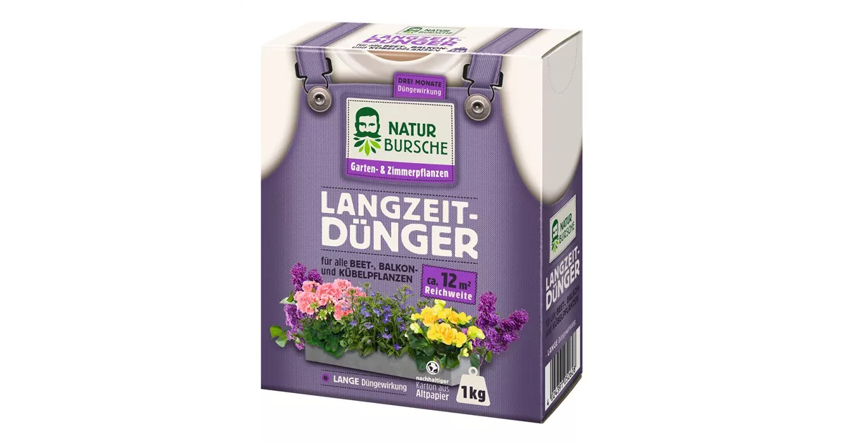 dünger für mandelbäumchen Zwerg-Mandelbaum (selbstbefruchtend) kaufen | Prunus dulcis main image 1