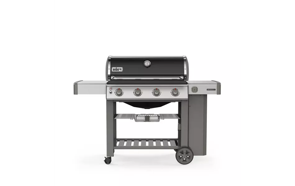 Weber Gasgrill