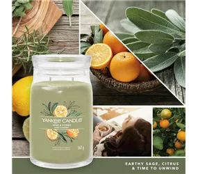 Medium Jar 368 g Yankee Candle - Sage & Citrus