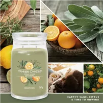 Medium Jar 368 g Yankee Candle - Sage & Citrus Medium Jar 368 g Yankee Candle - Sage & Citrus