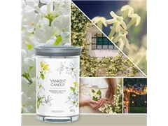 Medium Jar 368 g Yankee Candle - Midnight Jasmine Medium Jar 368 g Yankee Candle - Midnight Jasmine