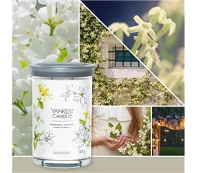 Medium Jar 368 g Yankee Candle - Midnight Jasmine Medium Jar 368 g Yankee Candle - Midnight Jasmine