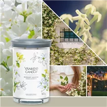 Medium Jar 368 g Yankee Candle - Midnight Jasmine Medium Jar 368 g Yankee Candle - Midnight Jasmine