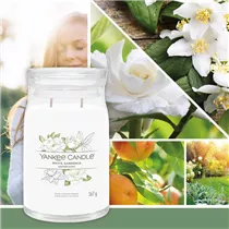 Medium Jar 368 g Yankee Candle - White Gardenia