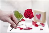 - Geschenke zum Valentinstag: Nicht nur Rosen machen glücklich  - Geschenke zum Valentinstag: Nicht nur Rosen machen glücklich