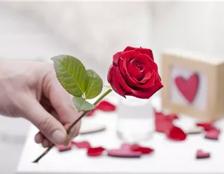 Blühender Valentinstag - für sie und ihn!