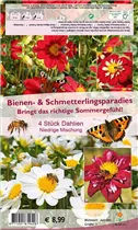 Blumenzwiebeln - Dahlien Bienentraum Mischung