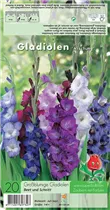 Blumenzwiebeln - Grossblütige Gladiolen Mischung blau-weiß-lila - 20 Stück Blumenzwiebeln - Grossblütige Gladiolen Mischung blau-weiß-lila - 20 Stück