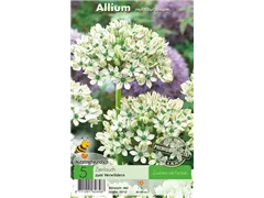  - Allium Multibulbosum/Nigrum