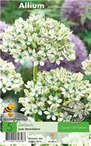  - Allium Multibulbosum/Nigrum