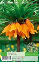  - Fritillaria Orange Beauty