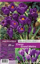  - Krokusse Grand Maitre