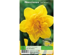  - Narzissen Dick Wilden