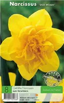  - Narzissen Dick Wilden