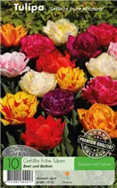  - Tulpen Gefüllte frühe Mischung