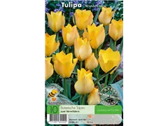 - Tulpen Bronze Charm  - Tulpen Bronze Charm