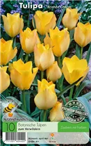  - Tulpen Bronze Charm