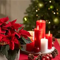 Slider_Sonntag_KA+OU_offen_Weihnachten.jpg Slider_Sonntag_KA+OU_offen_Weihnachten.jpg