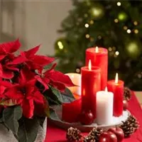 WEihnachten 2024.jpg