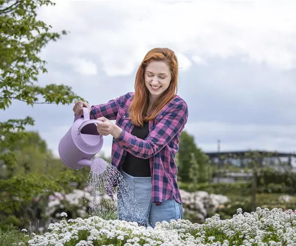 - Frühling ist Pflanzzeit – ab in den Garten!  - Frühling ist Pflanzzeit – ab in den Garten!