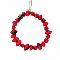 MAXPHIL living - Kranz Hagebutten zm Hängen, D 11 cm