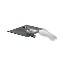 Werner Voß - Klemmvögelchen, silber