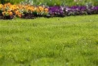 - Für jeden Garten den richtigen Rasen  - Für jeden Garten den richtigen Rasen
