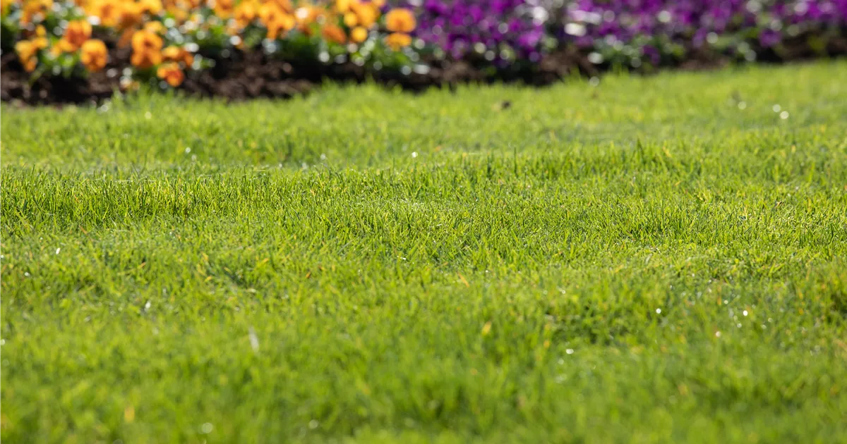  - Für jeden Garten den richtigen Rasen