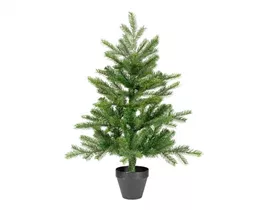 51cm x H 75cm - Grandis mini-Baum Indoor