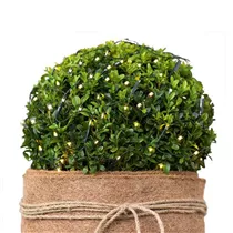 Kaemingk - LED DuraWise Buchsbaumkugel-Netz, 84 warmweiße Lichter