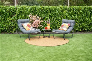 cb/mid grey/mystic grey/glass - Danzig Set 3-tlg.