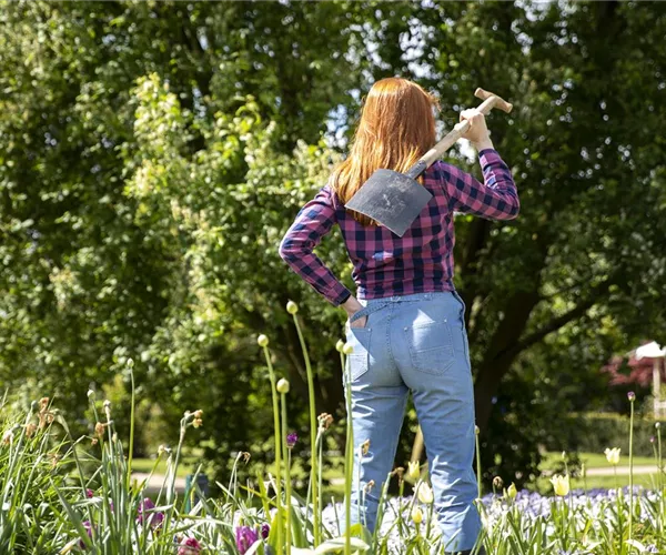 - Der Gartenboden – jeder braucht mal Unterstützung  - Der Gartenboden – jeder braucht mal Unterstützung