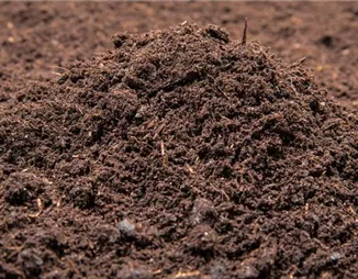 Welche Blumenerde ist für welche Pflanzenarten geeignet?