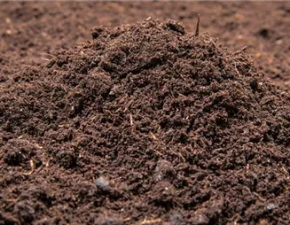 Welche Blumenerde ist für welche Pflanzenarten geeignet?