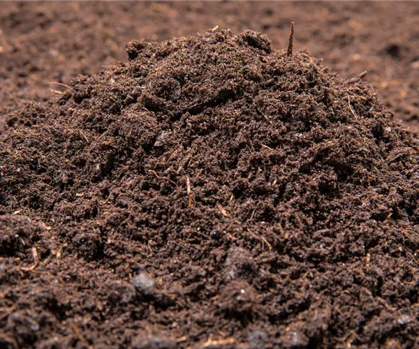 - Welche Blumenerde ist für welche Pflanzenarten geeignet?  - Welche Blumenerde ist für welche Pflanzenarten geeignet?