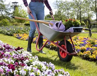 Mit der Gartenbox kommt endlich Ordnung in den Garten